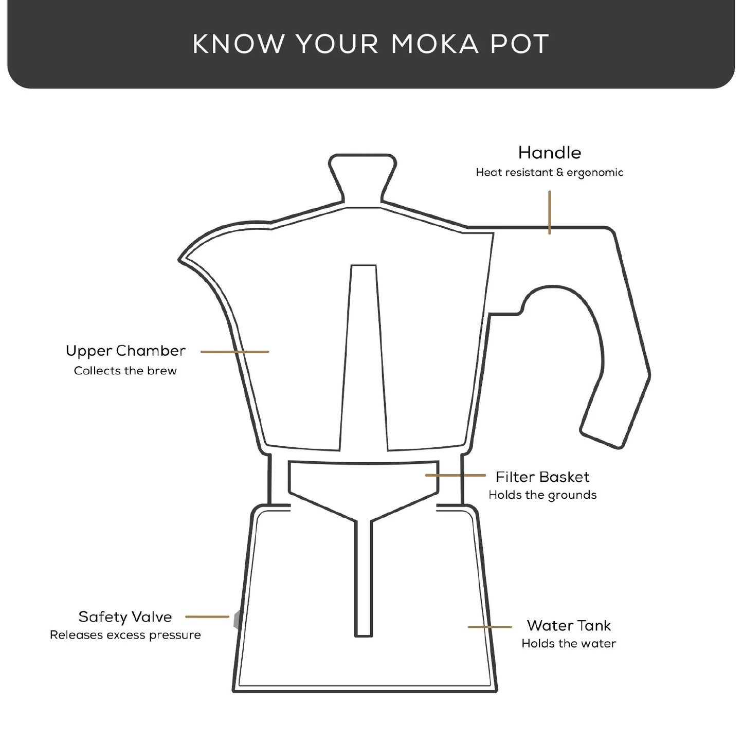 Store 6-Cup Stovetop Coffee Maker – JoyJolt Moka Pot