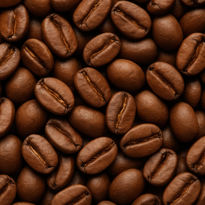 Barista State – Café Oscuro Whole Bean Coffee 12oz | Creativos Coffee Co.