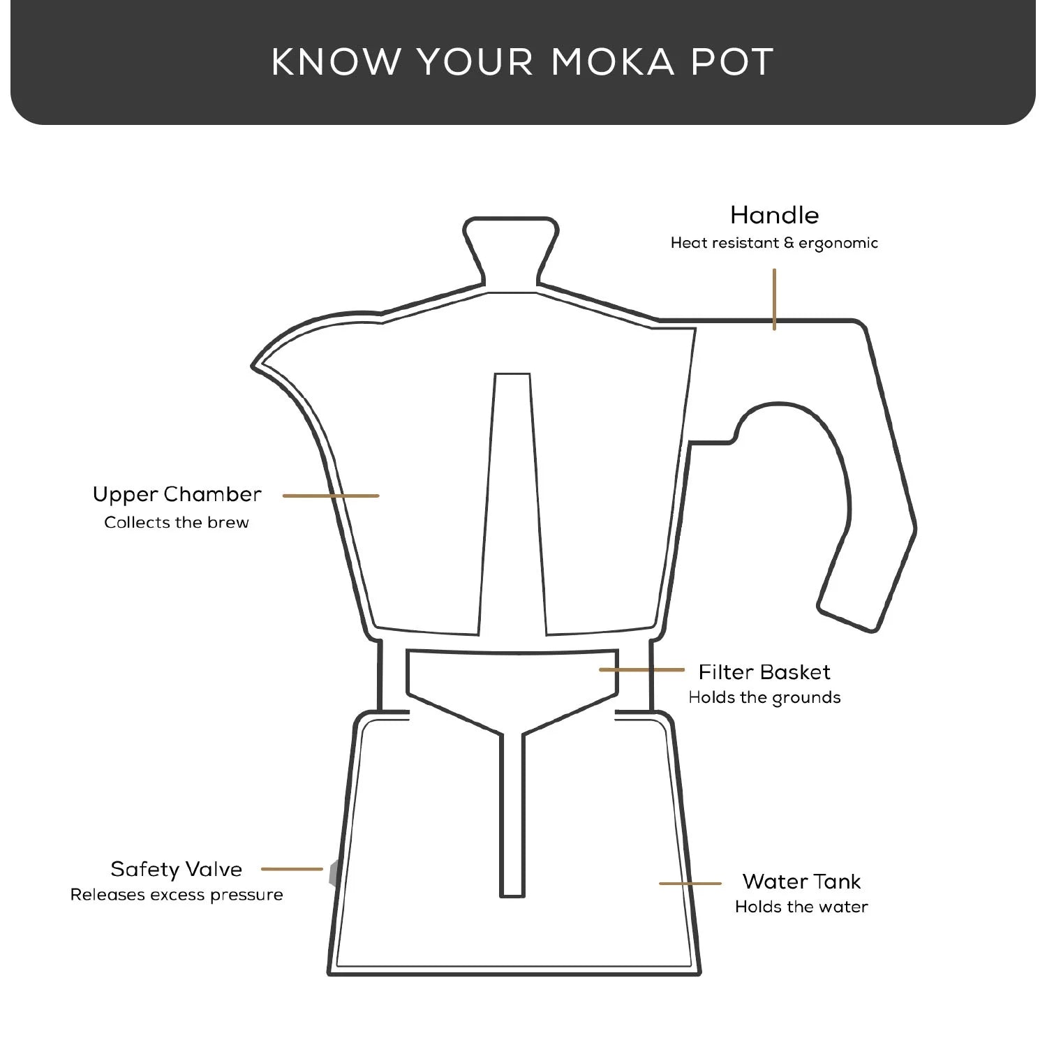 Store 6-Cup Stovetop Coffee Maker – JoyJolt Moka Pot